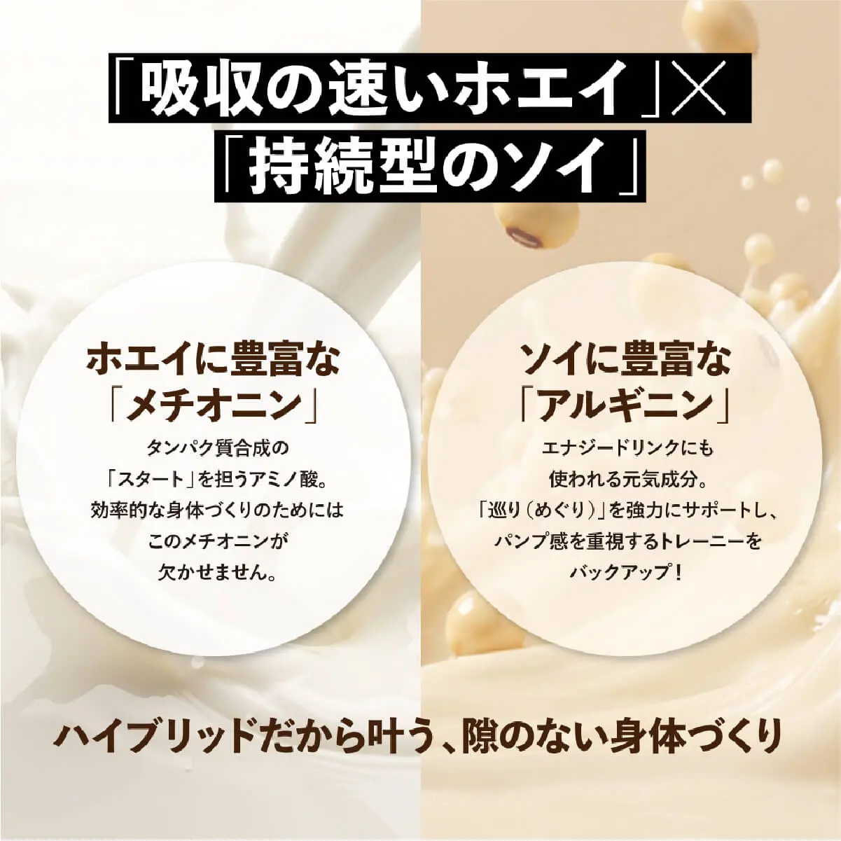 ハイブリッドプロテイン 05