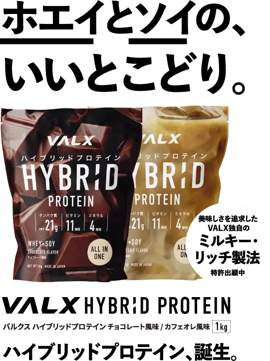 ハイブリッドプロテイン1kg